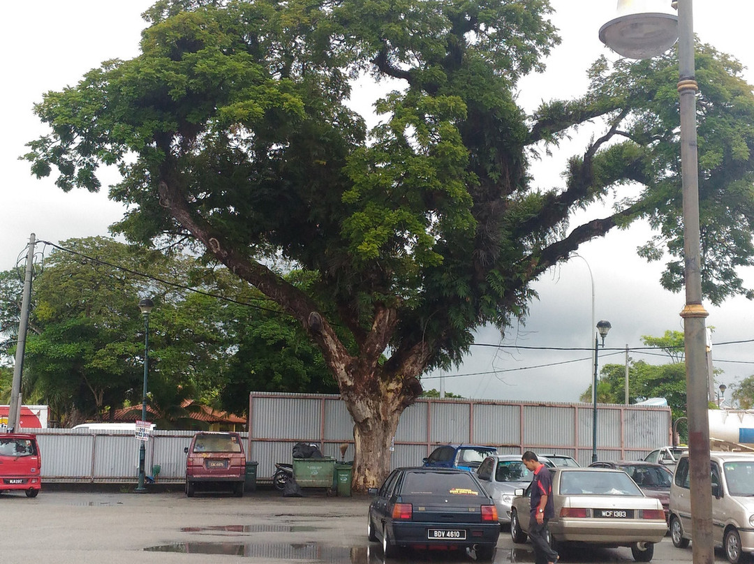 Bazar Muhibbah-Pekan必去景点