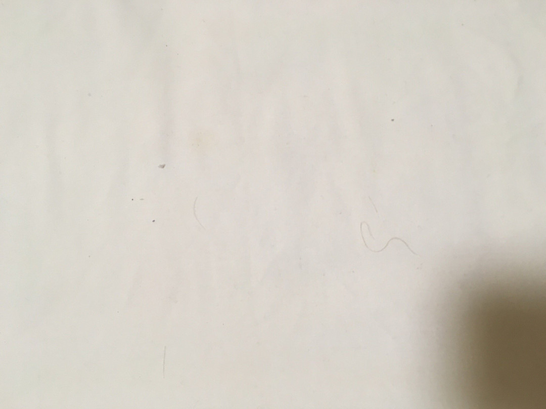 The Castle / Y Castell Pwllheli主图