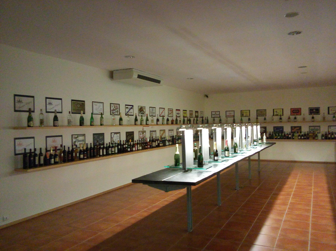 Museu Do Vinho Da Bairrada景点图片