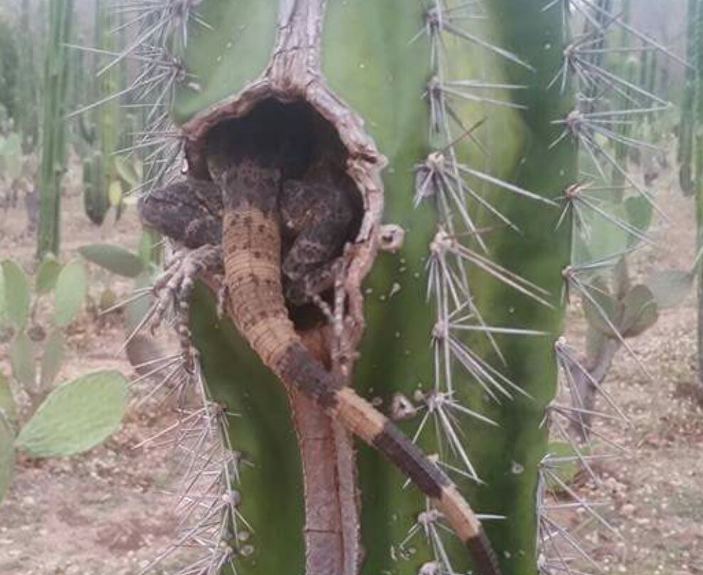 La Senda-Santa Rosa必去景点