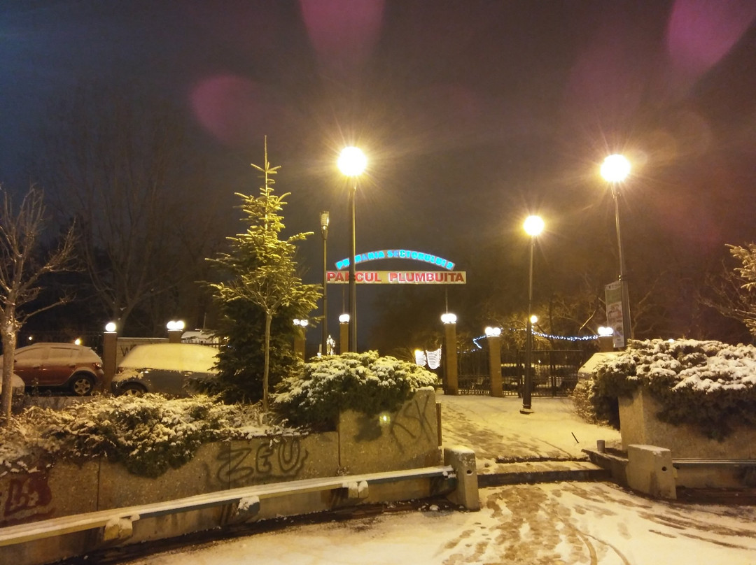 Parcul Plumbuita景点图片