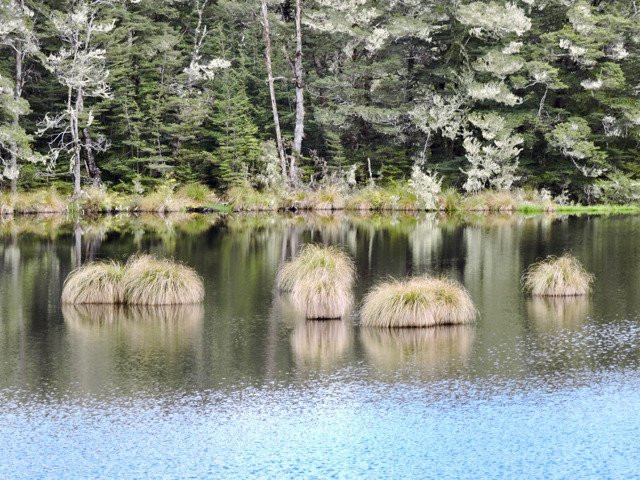 Mavora Lakes Park景点图片