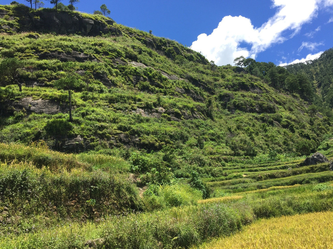Aguid Rice Terraces-萨加达必去景点
