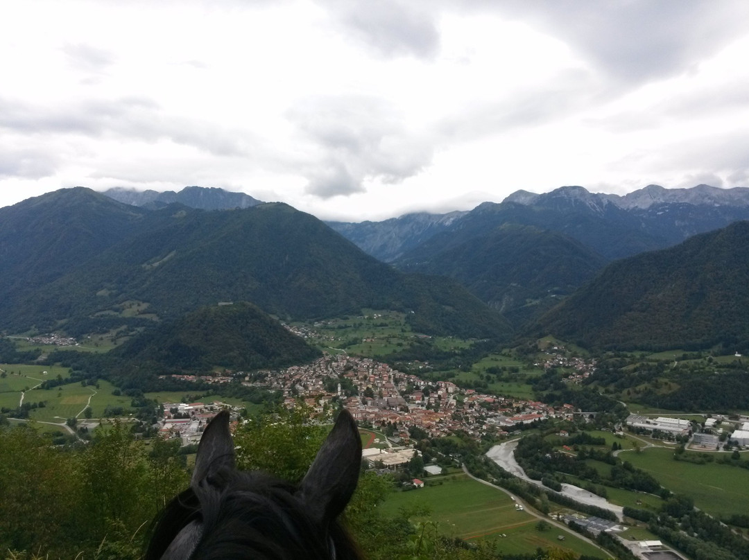 Horse Riding Club Ranch Pelance景点图片