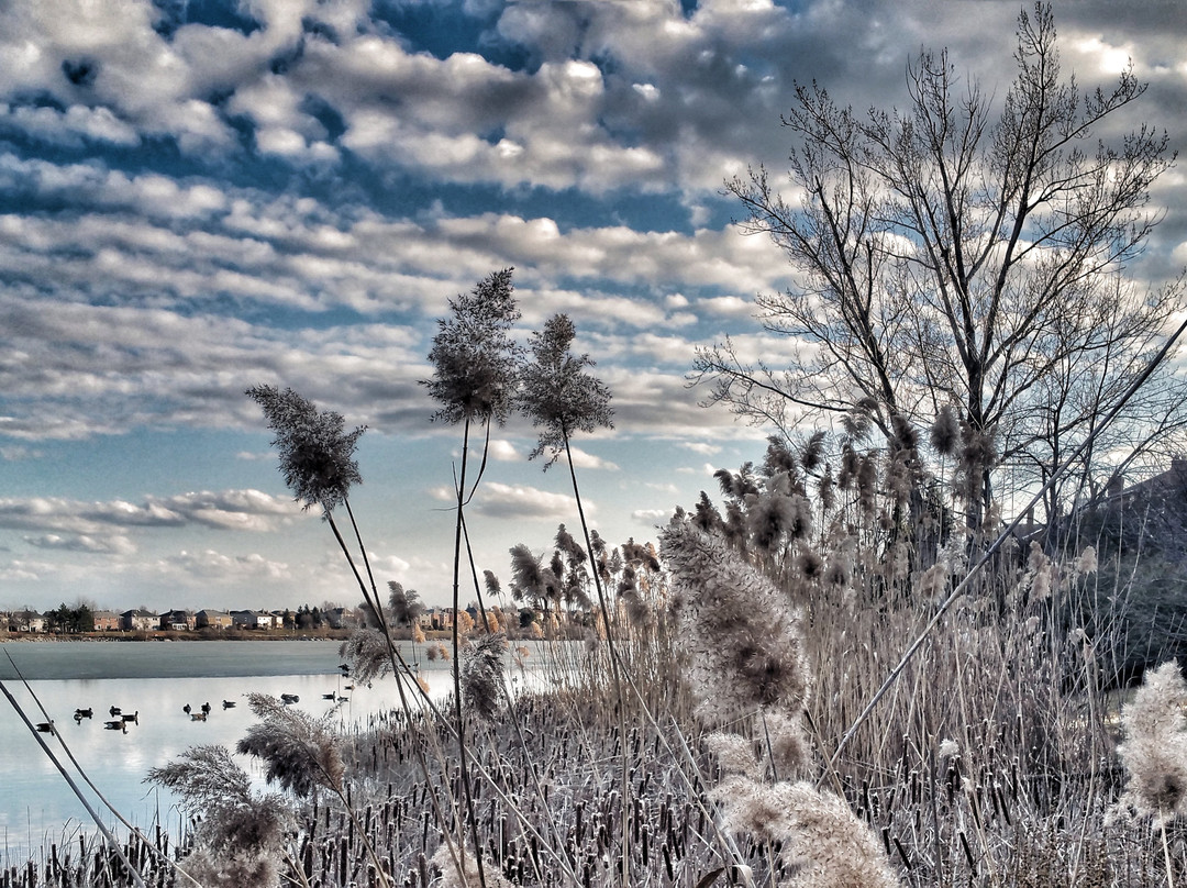Professor's Lake Recreation Centre-布兰普敦必去景点