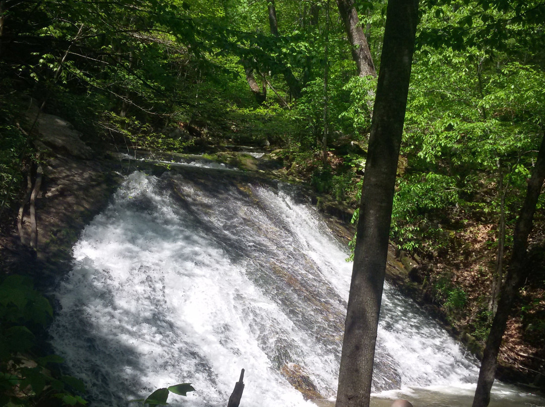 Roaring Run Falls-Eagle Rock必去景点