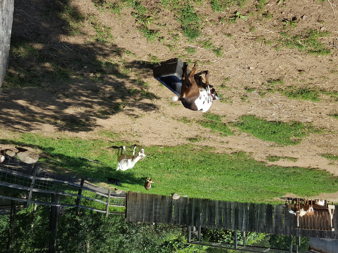 Stamford Museum & Nature Center-斯坦福必去景点