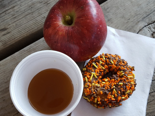 Erwin's Orchard-South Lyon必去景点