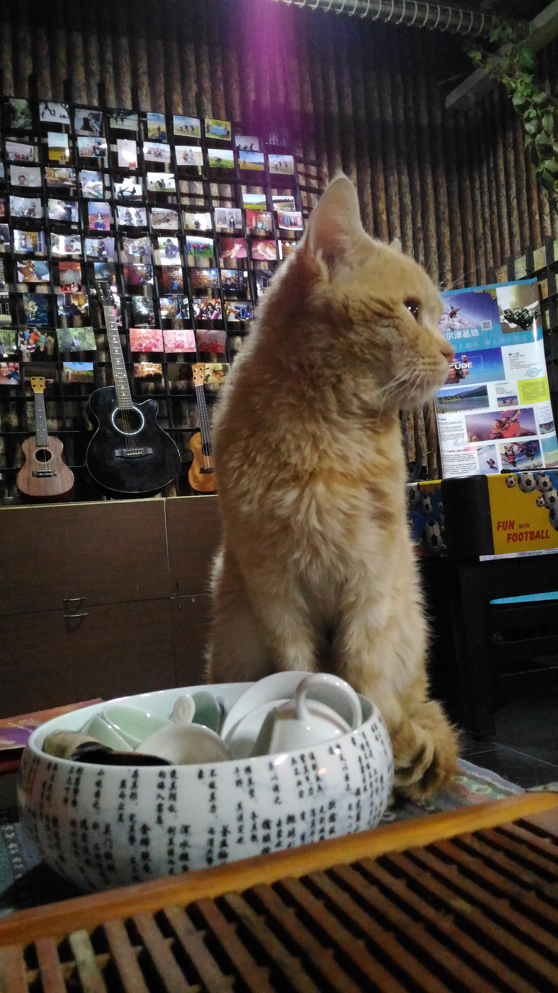 白桦林国际青年旅舍-官方