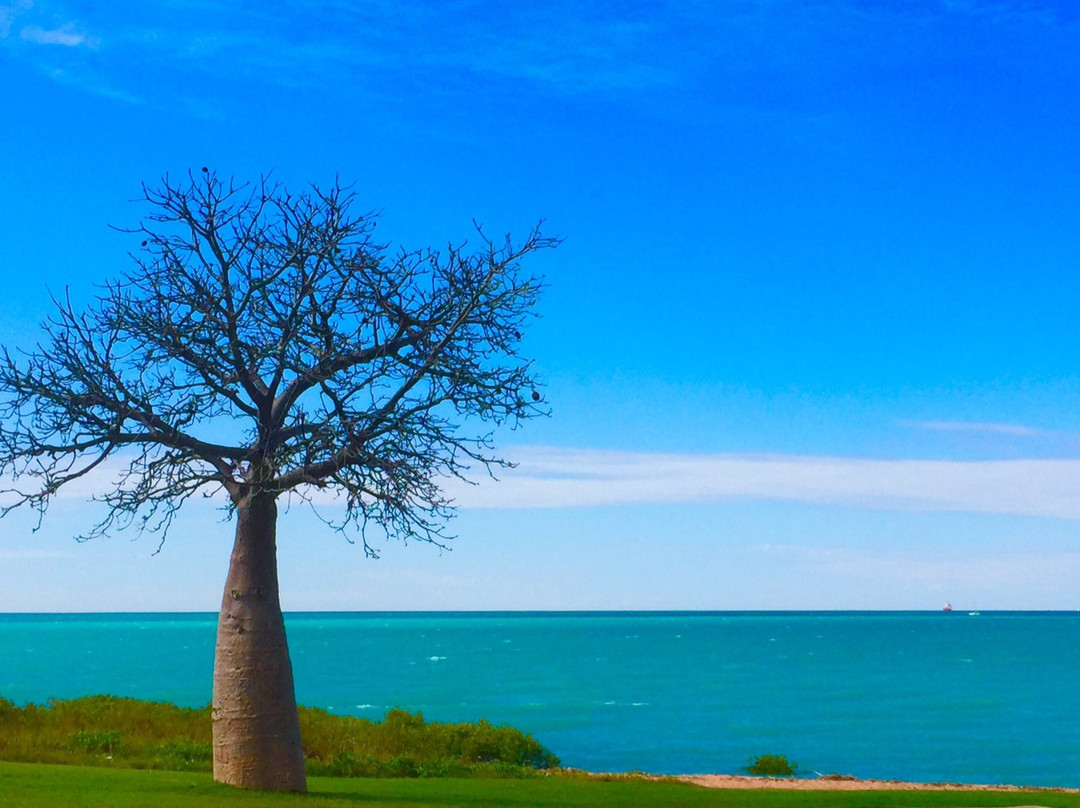 Broome Town Beach景点图片