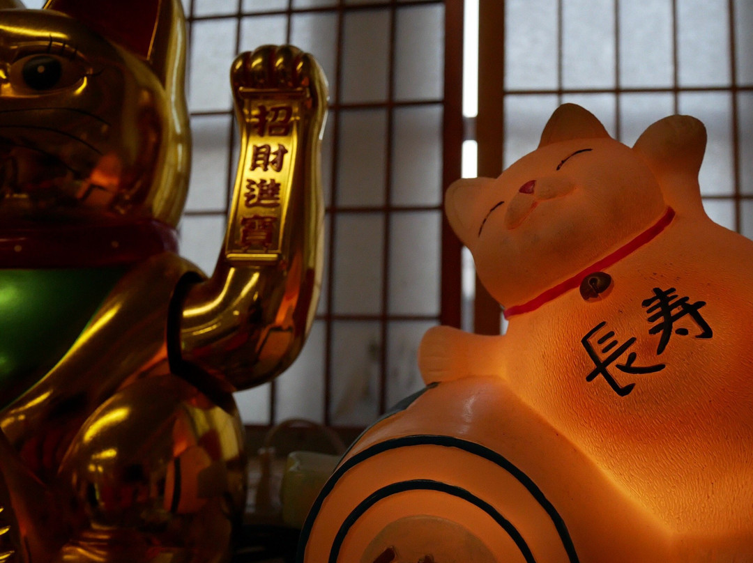 Lucky Cat Museum-辛辛那提必去景点