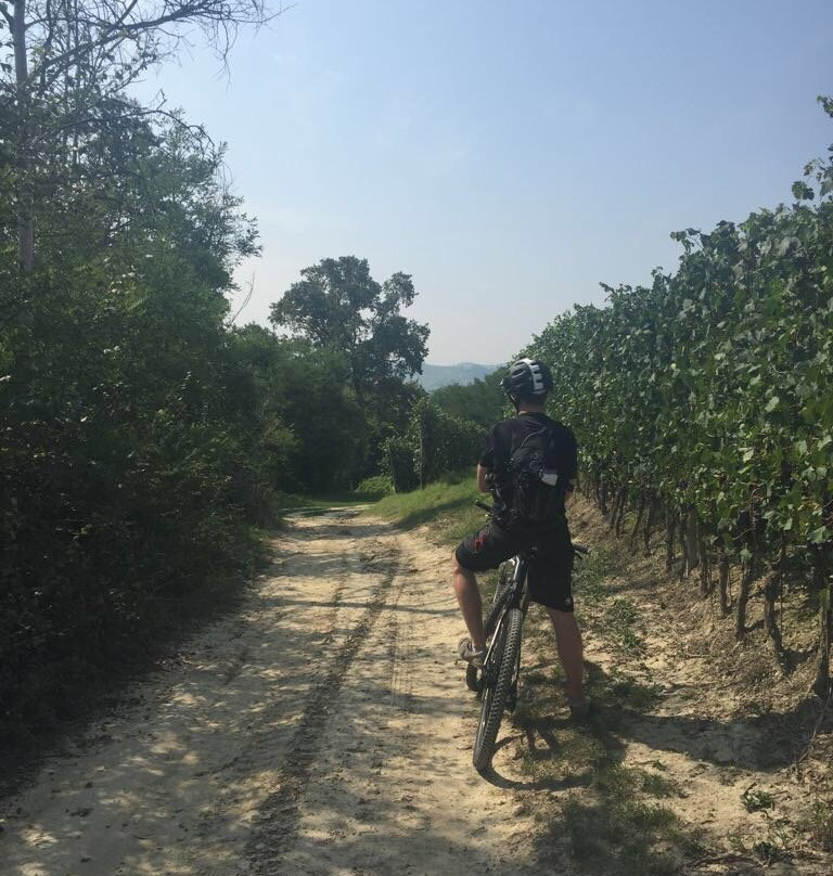 Rent Your Bike - Noleggio Bici nella Langa del Barolo-Castiglione Falletto必去景点