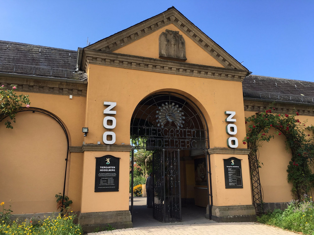 Zoo Heidelberg