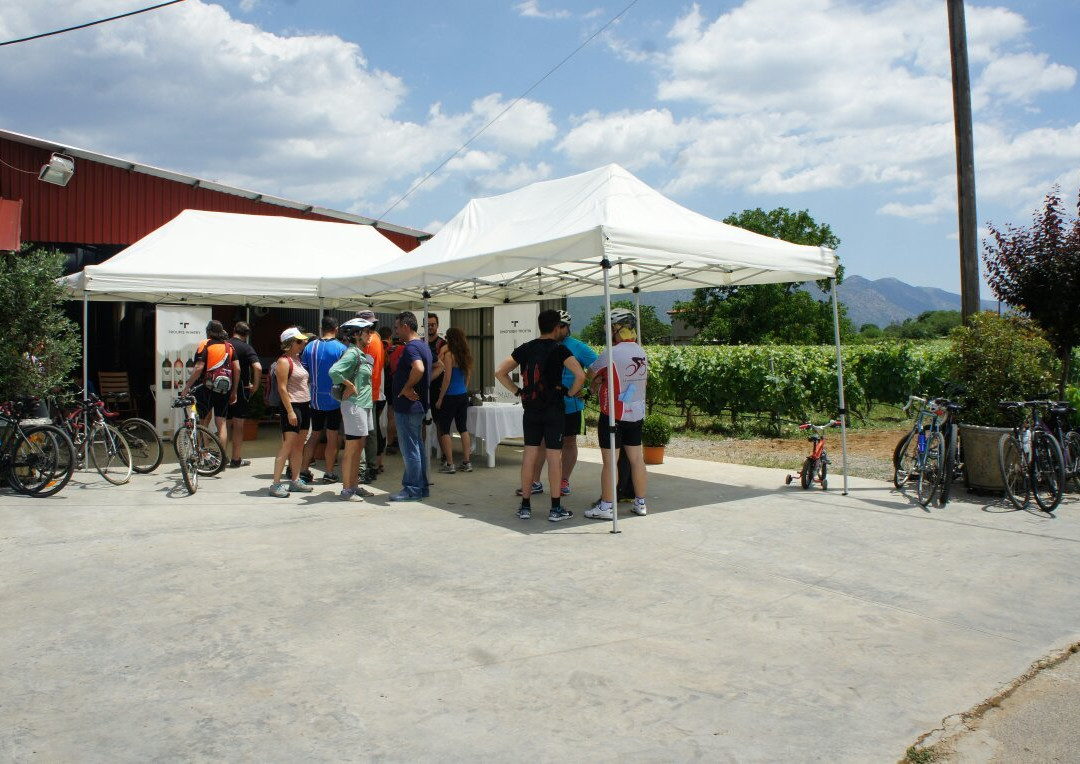 Troupis Winery-Tripoli必去景点
