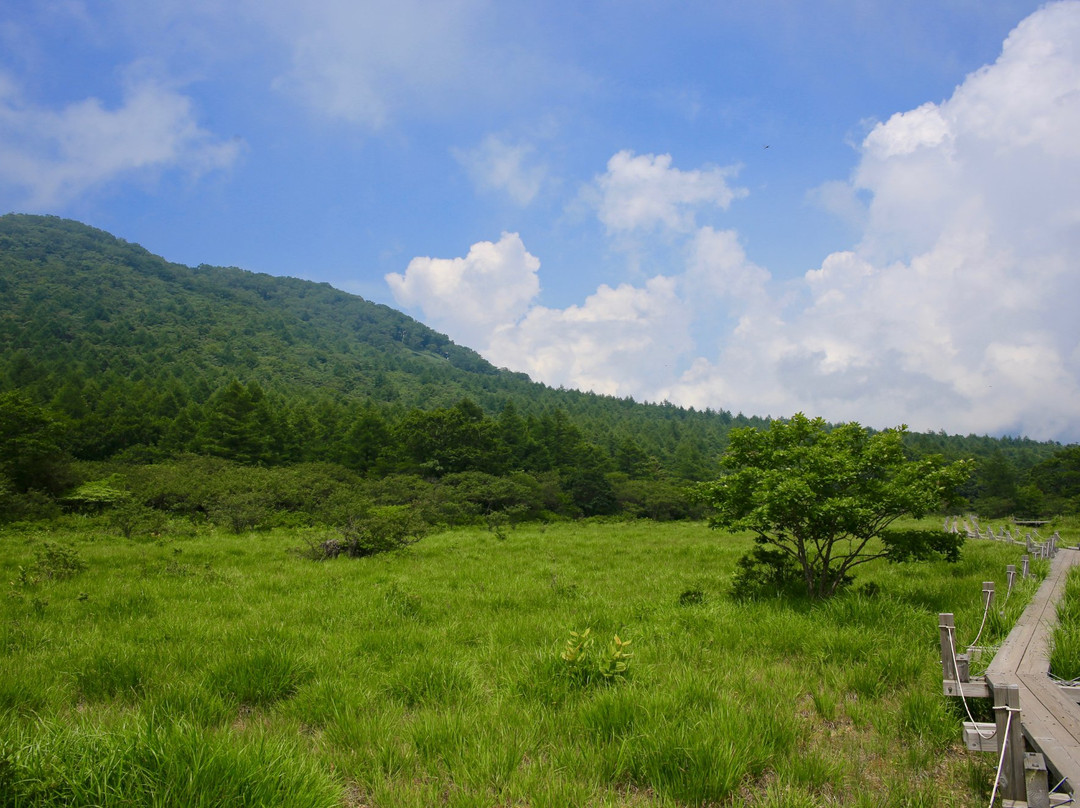 Numappara Marshland-那须盐原市必去景点