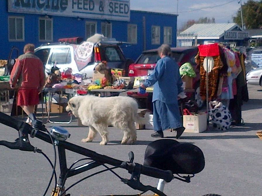 Stittsville's Carp Road Flea Market景点图片