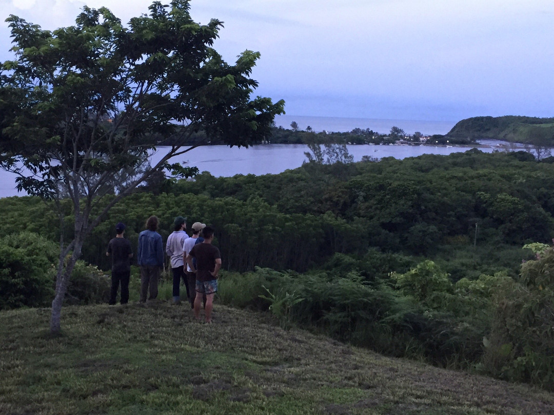 Laguna de Sontecomapan-韦拉克鲁斯必去景点