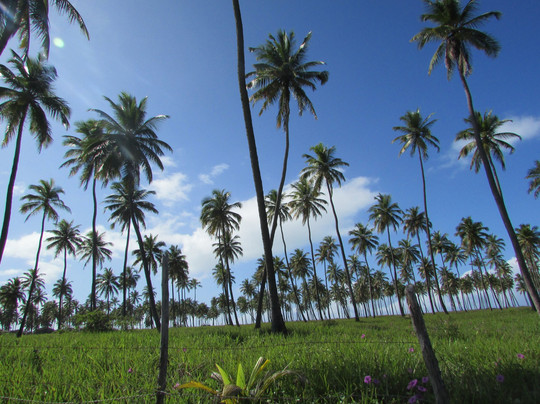 Adelmotur-嘎林海斯港必去景点