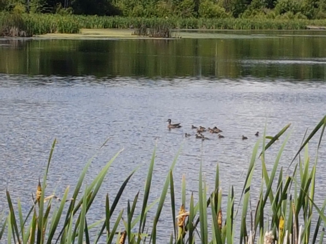 Moonshine Lake Provincial Park景点图片