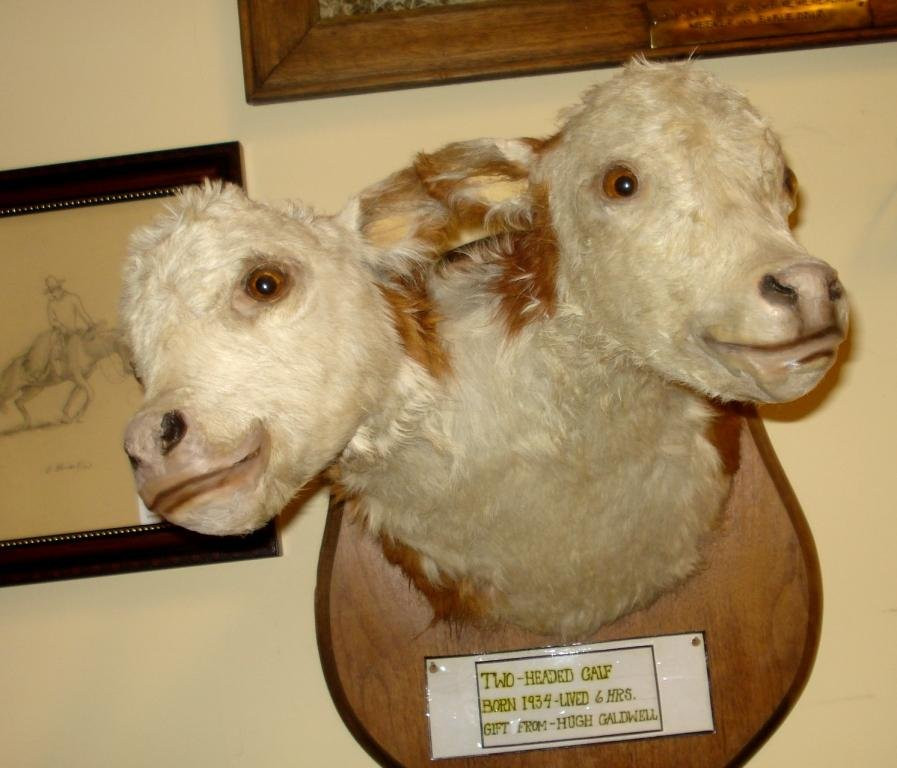 The White River Museum-Meeker必去景点