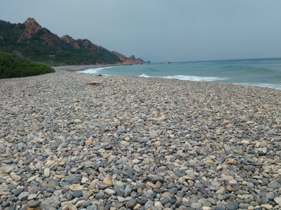 Coccorocci