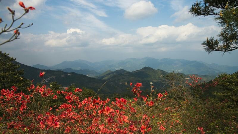 金华磐安高姥山-磐安县必去景点