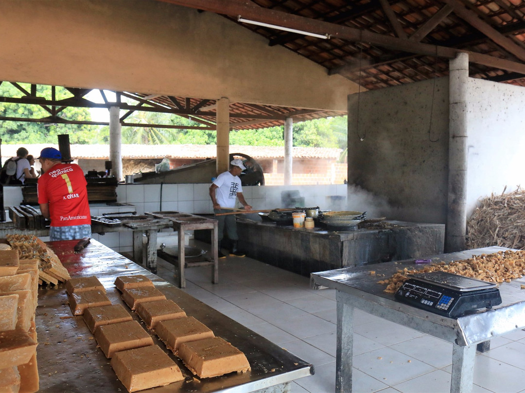 Engenho São Luiz-Aquiraz必去景点