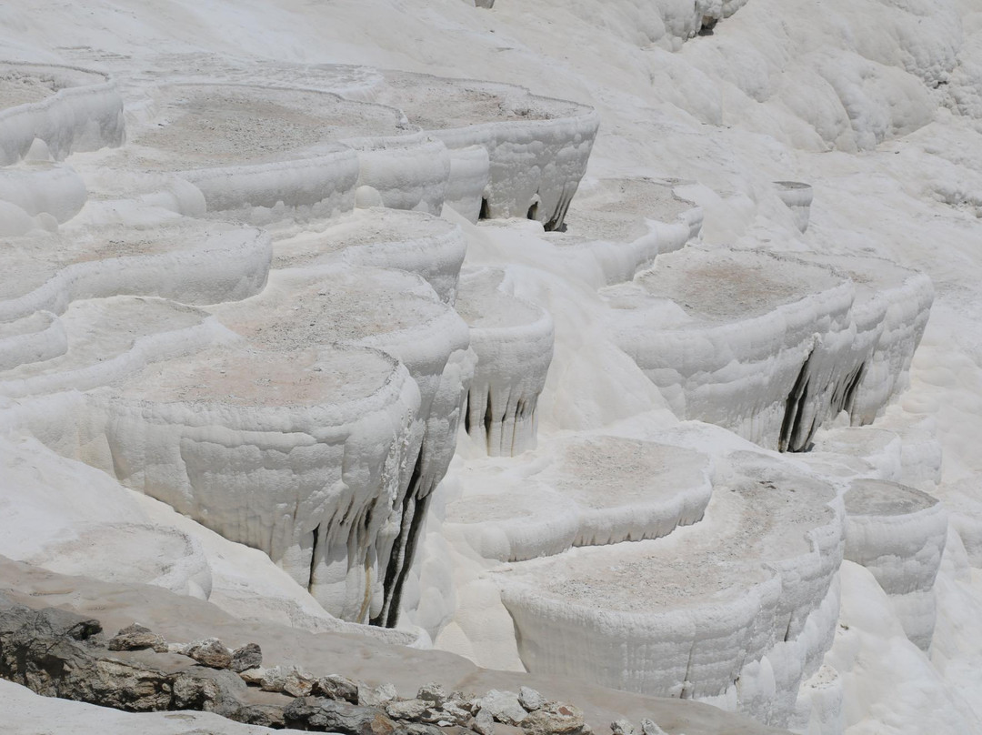 Adonis Turizm - Shore Ephesus Tours景点图片