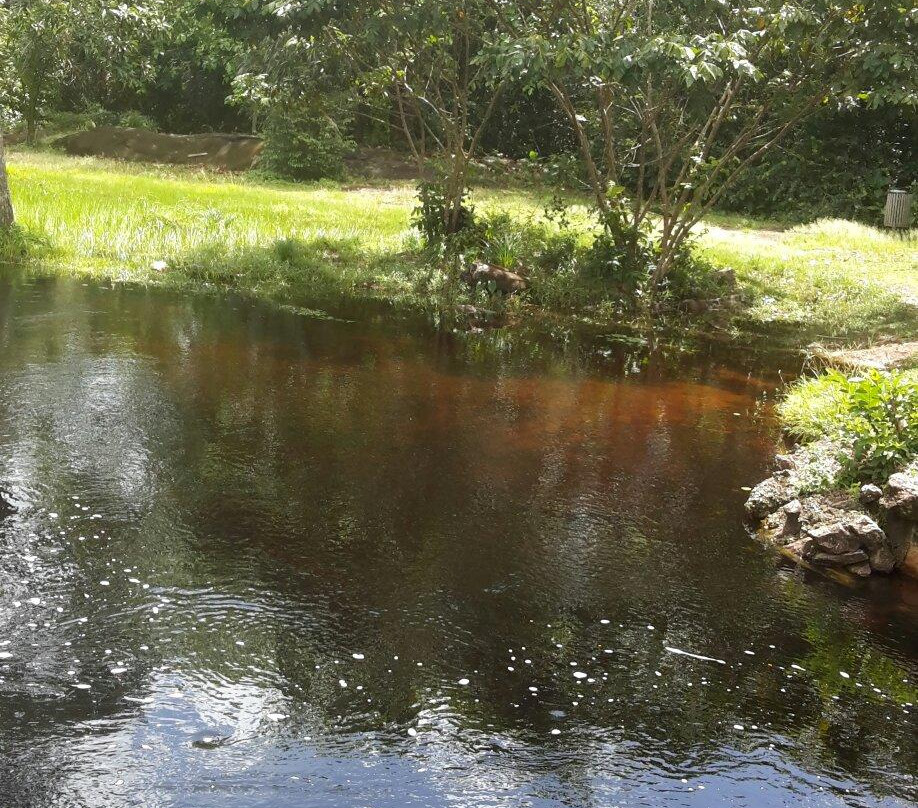 Crique Canceler-Sinnamary必去景点