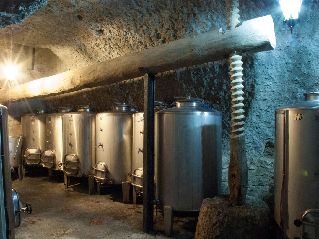 Bodega Esteban-Araujo-Torquemada必去景点