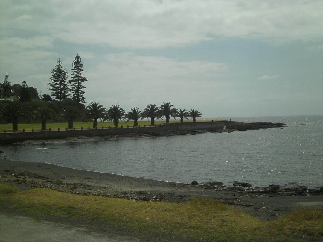 Kiama Farmers' Market景点图片