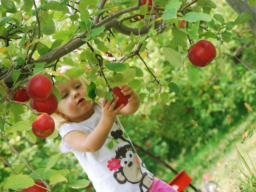 Tuttle Orchards-Greenfield必去景点