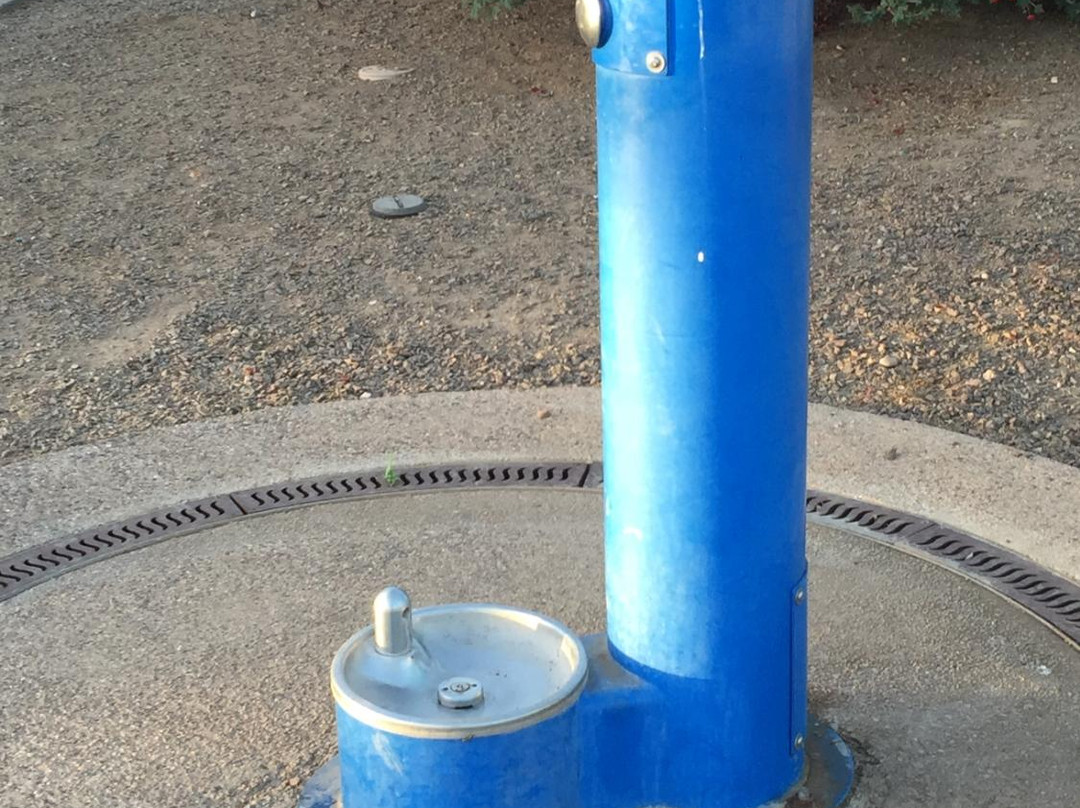 Chaparral Dog Park-斯科茨代尔必去景点