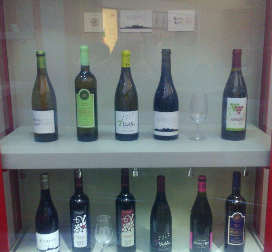 Museo Del Vino de Cangas de Narcea景点图片
