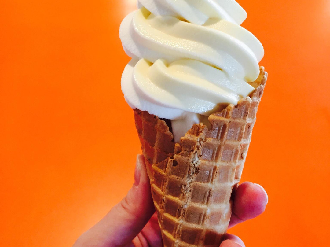 Sunsational Citrus-Umatilla必去景点