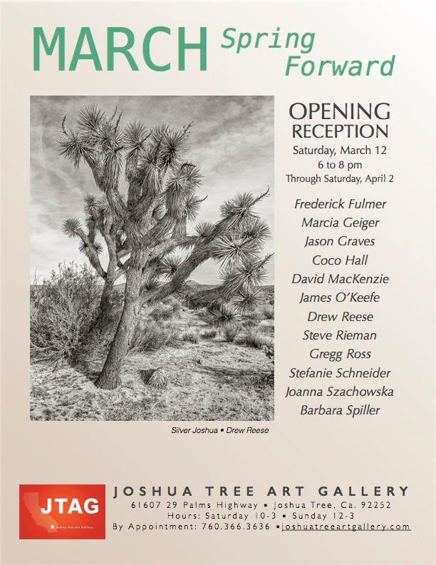 Joshua Tree Art Gallery-约书亚树必去景点