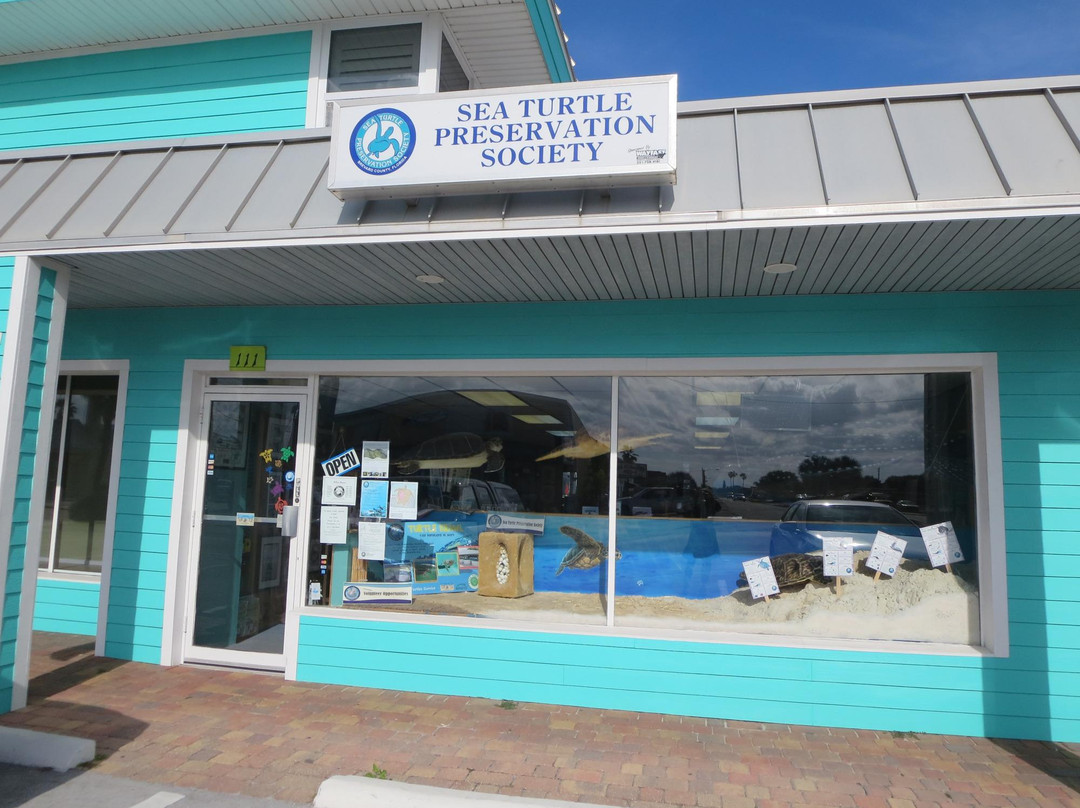 Sea Turtle Preservation Society景点图片