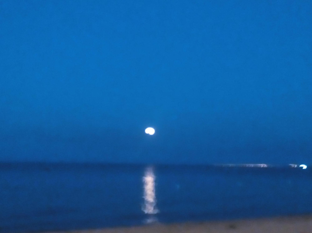 Calidoski Beach Bar景点图片