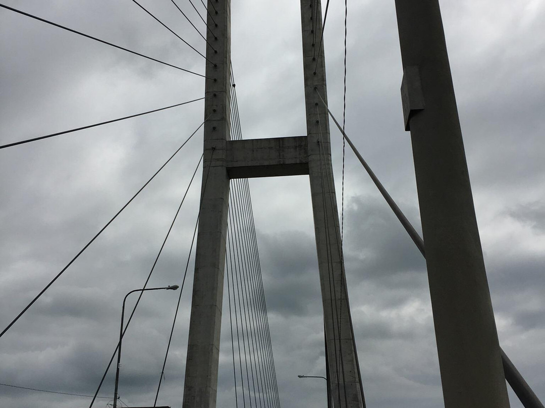 Diosdado Macapagal Suspension Bridge景点图片