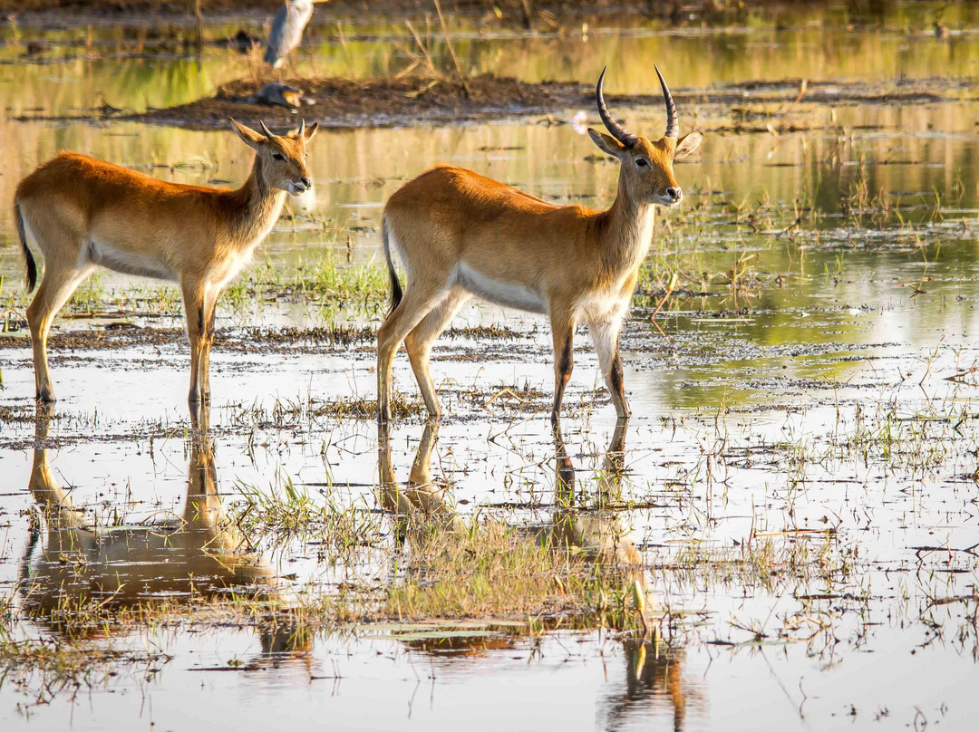 Namibia Reservations-奥奇瓦龙戈必去景点