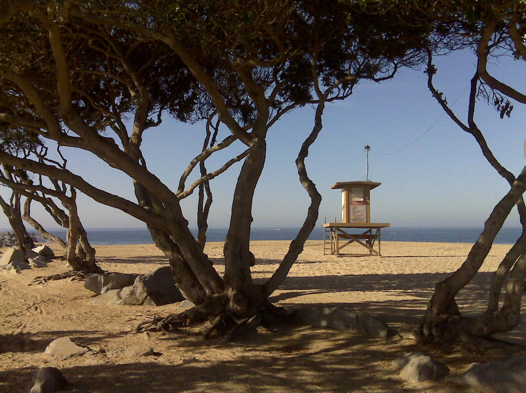 West Jetty View Park-纽波特海滩必去景点