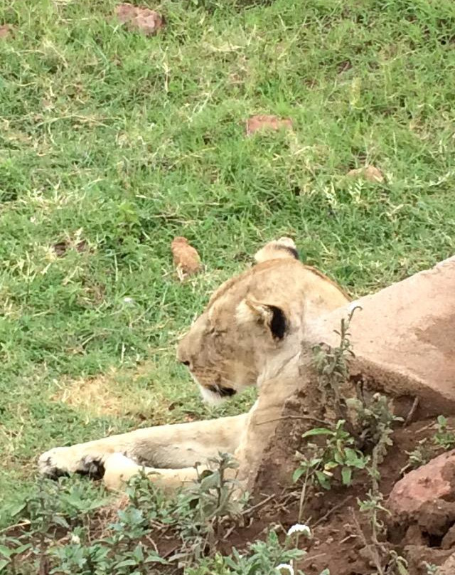 Super Safari-桑给巴尔岛必去景点