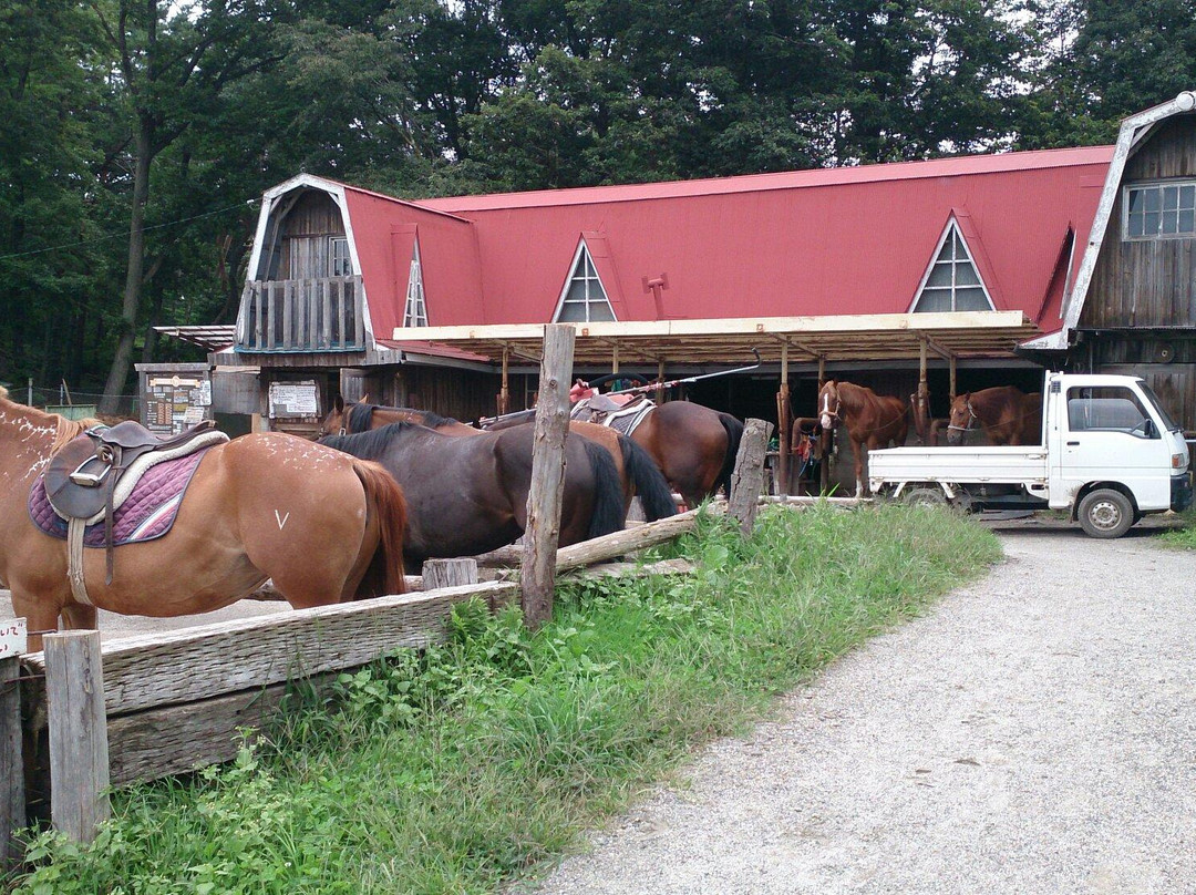 Kosuda Farm景点图片