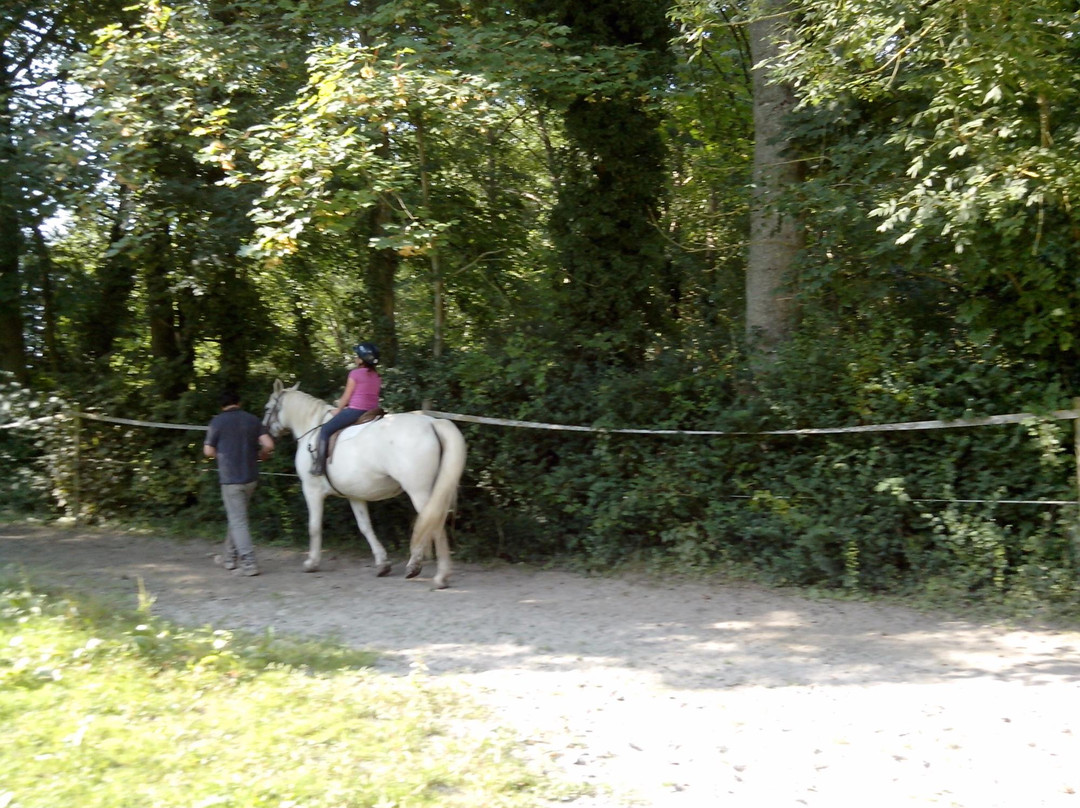 Centre Equestre du Chateau de Behen景点图片