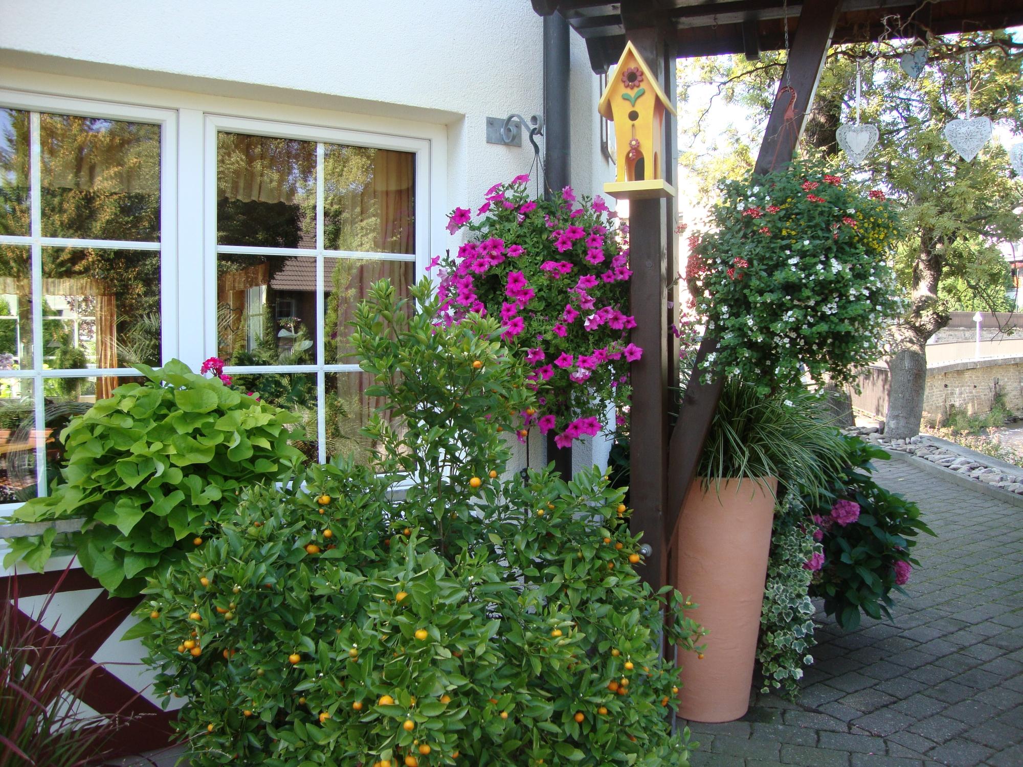 Erzgebirgshotel Bergschloschen-浴室