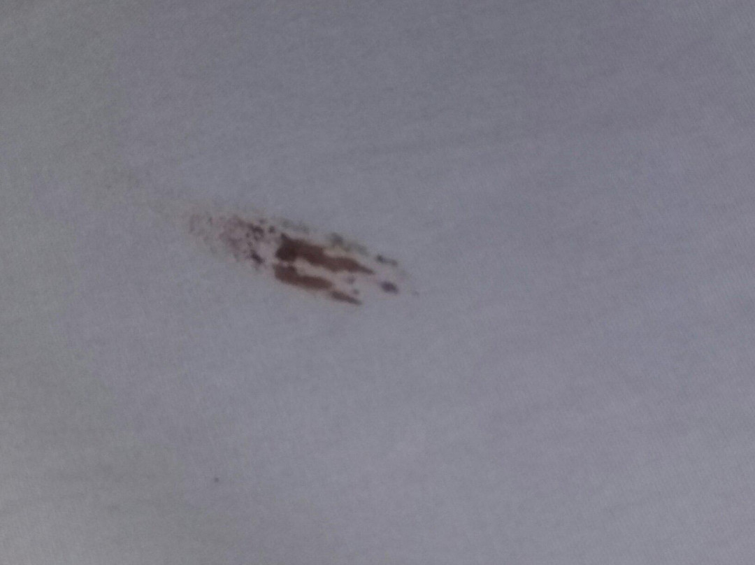 Cabanas Cholita主图