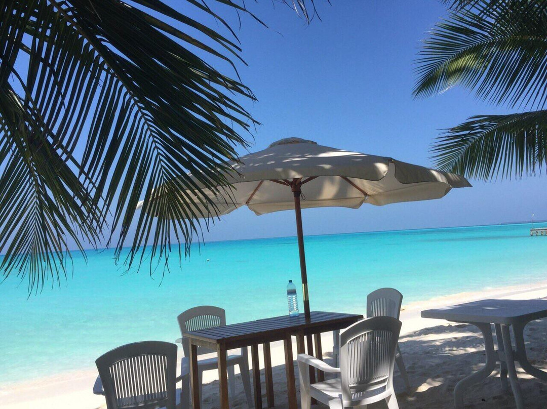 神仙珊瑚岛酒店住宿-The Lagoon of Vashafaru