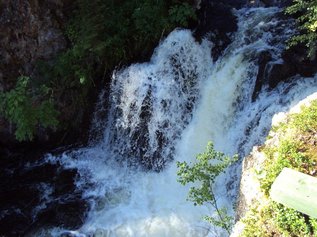Paanajarvi National Park景点图片
