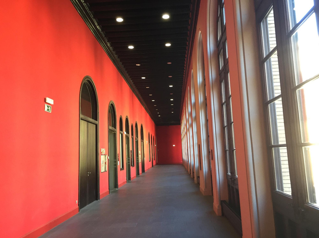 Antigua Facultad de Medicina-萨拉戈萨省必去景点