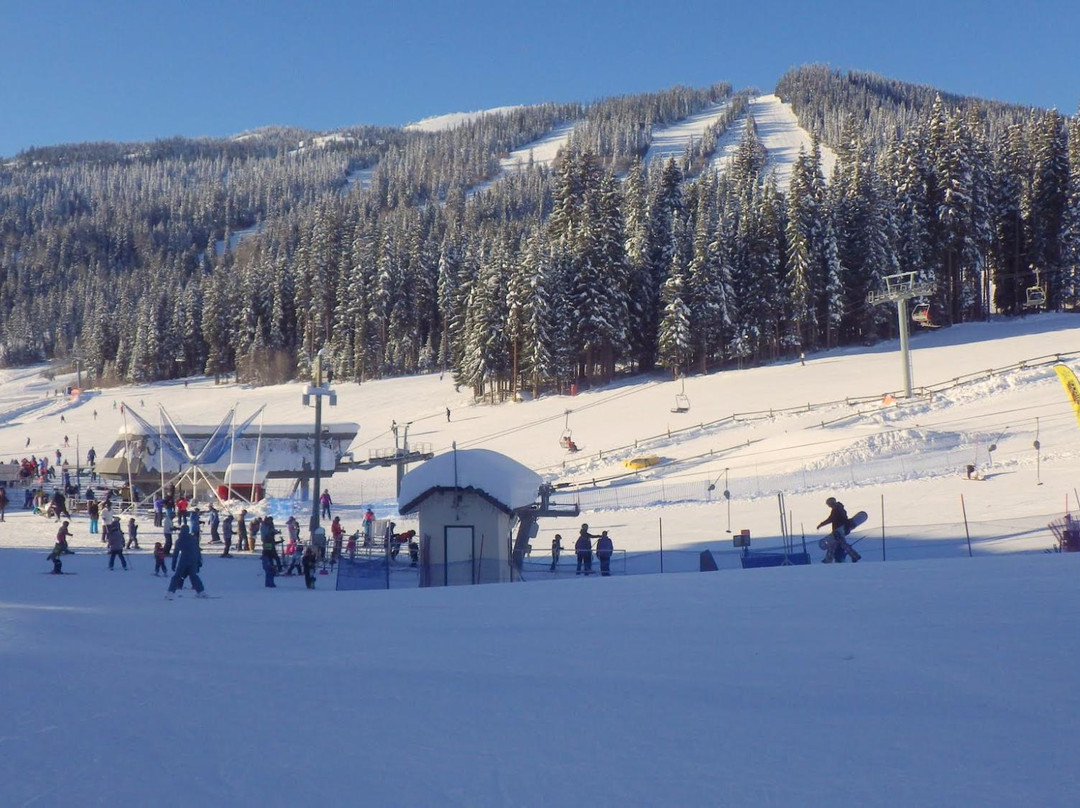 Bear's Lair Lodge主图